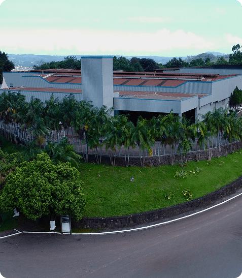 Imagem da empresa MDS